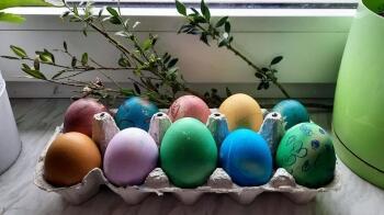 277790609_7304547152920664_2061860509087536852_n