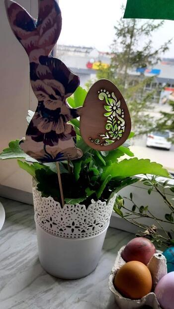 278259072_7304548086253904_7757006531487061427_n