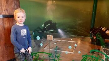 278542974_7339230646118981_505230485443635750_n