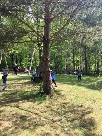 284000190_7524291667612877_6427208462828256043_n