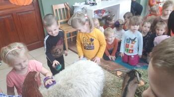 308109620_559094952651089_5754450940182261744_n