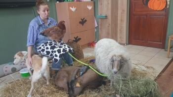 312618388_519326670045395_3179389581801986084_n