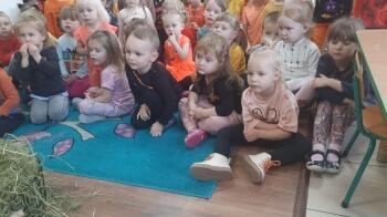 313204004_889603251931118_7103948038995339576_n