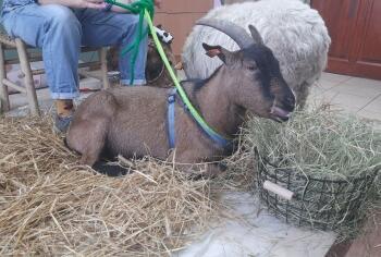 313204933_572758031186298_3955283737119457061_n