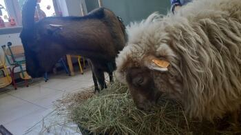 313211988_892716865237931_3902652686126426421_n