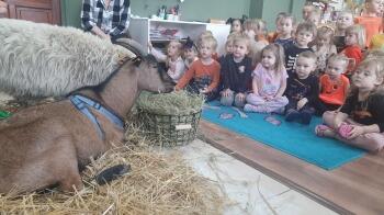 313296450_644879267022777_3460509579833946534_n