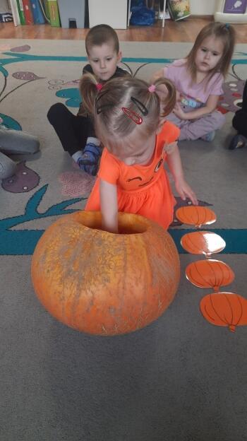 312986908_444123631163237_3168711374911644340_n