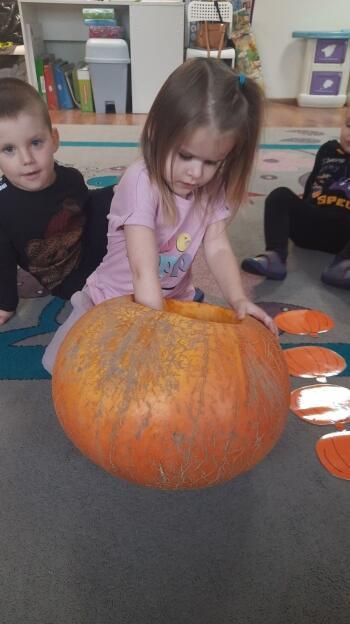 313092822_678062523709205_914133778913453148_n