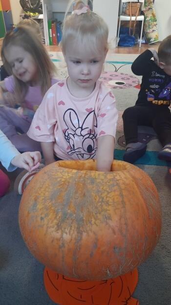 313127473_1072118370160926_7521877245190727670_n