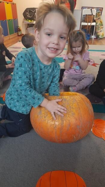 313200326_660221068792334_5833922476261301875_n