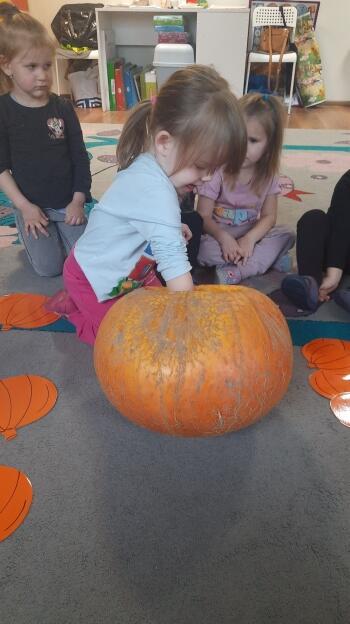 313207816_515696163475530_2875573971098608677_n