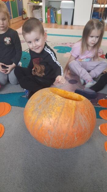 313215092_681371369857995_914477847186838658_n