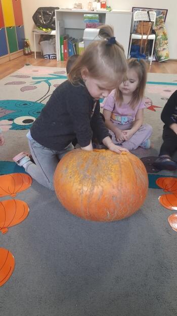 313220678_1801600063528176_4836694750990255378_n