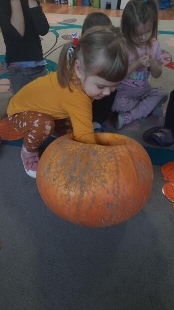 313217546_866522237856331_2656086540469137295_n