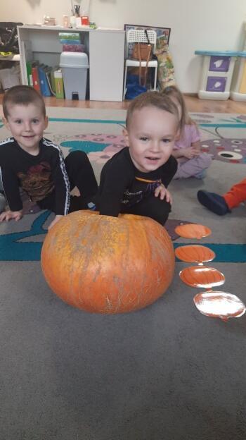 313360506_2041230696267984_846554598692169560_n