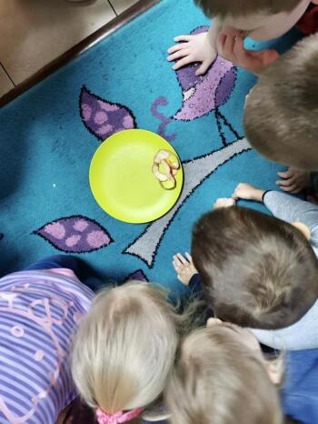 321355766_532022082191370_5940588930477356612_n