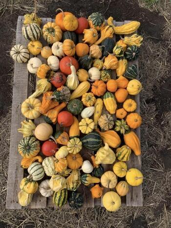 394539815_826979359403661_6061876236175652797_n