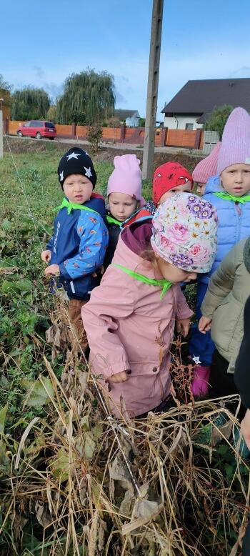 399574570_286427641042106_3315084027802117148_n