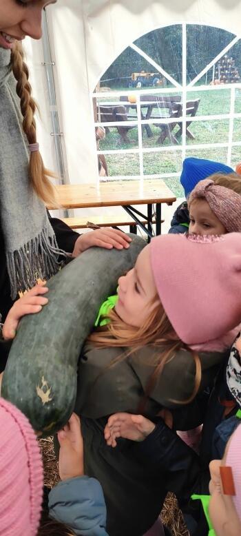 401029653_286428917708645_5845688506868125558_n