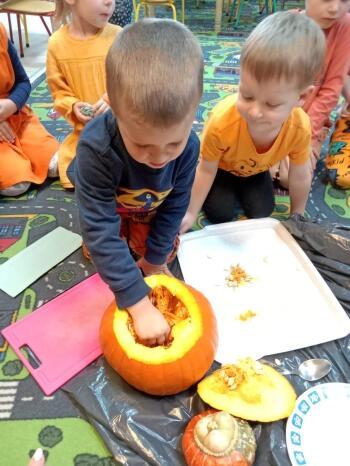 414045134_312847238400146_9050271723226539883_n