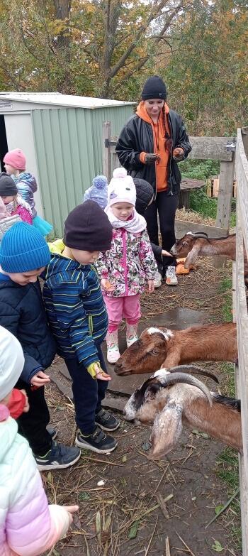 a82ca412-313d-4caf-8a79-a4abf7dec8ae