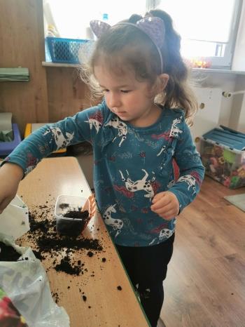 7426cb3d-255f-48c6-81c4-83704b0baf49