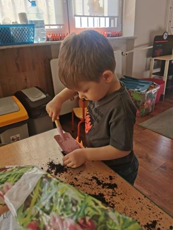 e53af460-dc63-4d35-9a1b-03dadd788ee2