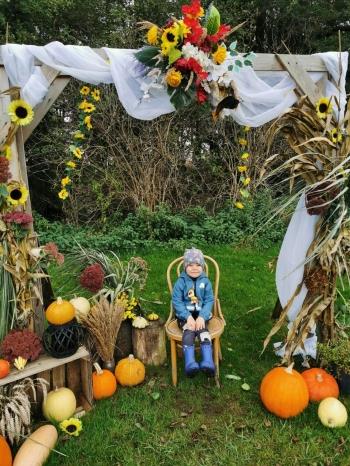 9449bae5-5bad-49b1-8472-02ba75c77807