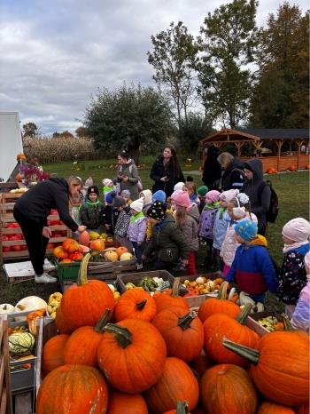 482d95db-874c-4b16-9492-ca9c8cafcc4a