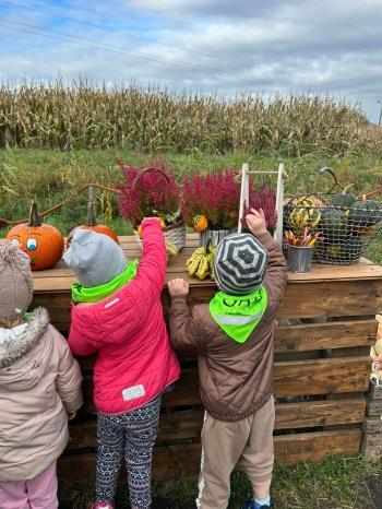 baeac396-e9b2-4eb1-8533-eab3fe6058e2