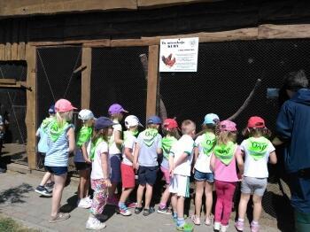 IMG_20180608_104502 (1)