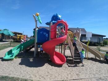 IMG_20180608_103843 (1)