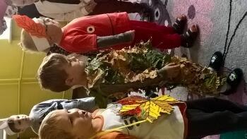 WP_20181030_09_39_42_Pro