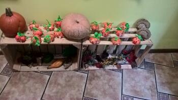 WP_20181031_10_26_17_Pro