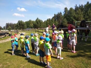 62427181_419081508644140_6289038706506465280_n