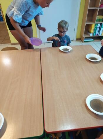 117303609_1179787865717597_8426971757319378360_n