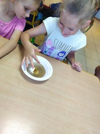 117548566_354844805879518_473407361708151866_n