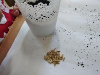 161179296_353576355888917_6097193744067035031_n