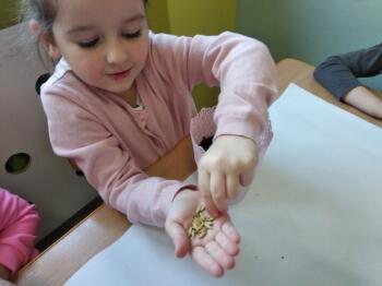 161183919_5533703686654866_6525784677447581532_n