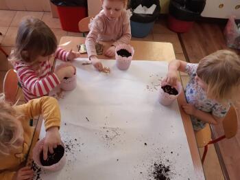 161226241_150659700248928_1153051870467951841_n