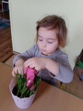 165254314_1881857295322609_1195065987749893322_n