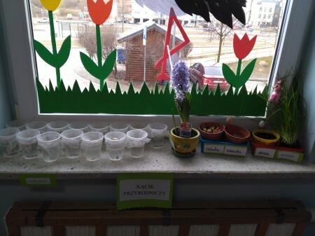 Promujemy zdrowy styl życia 